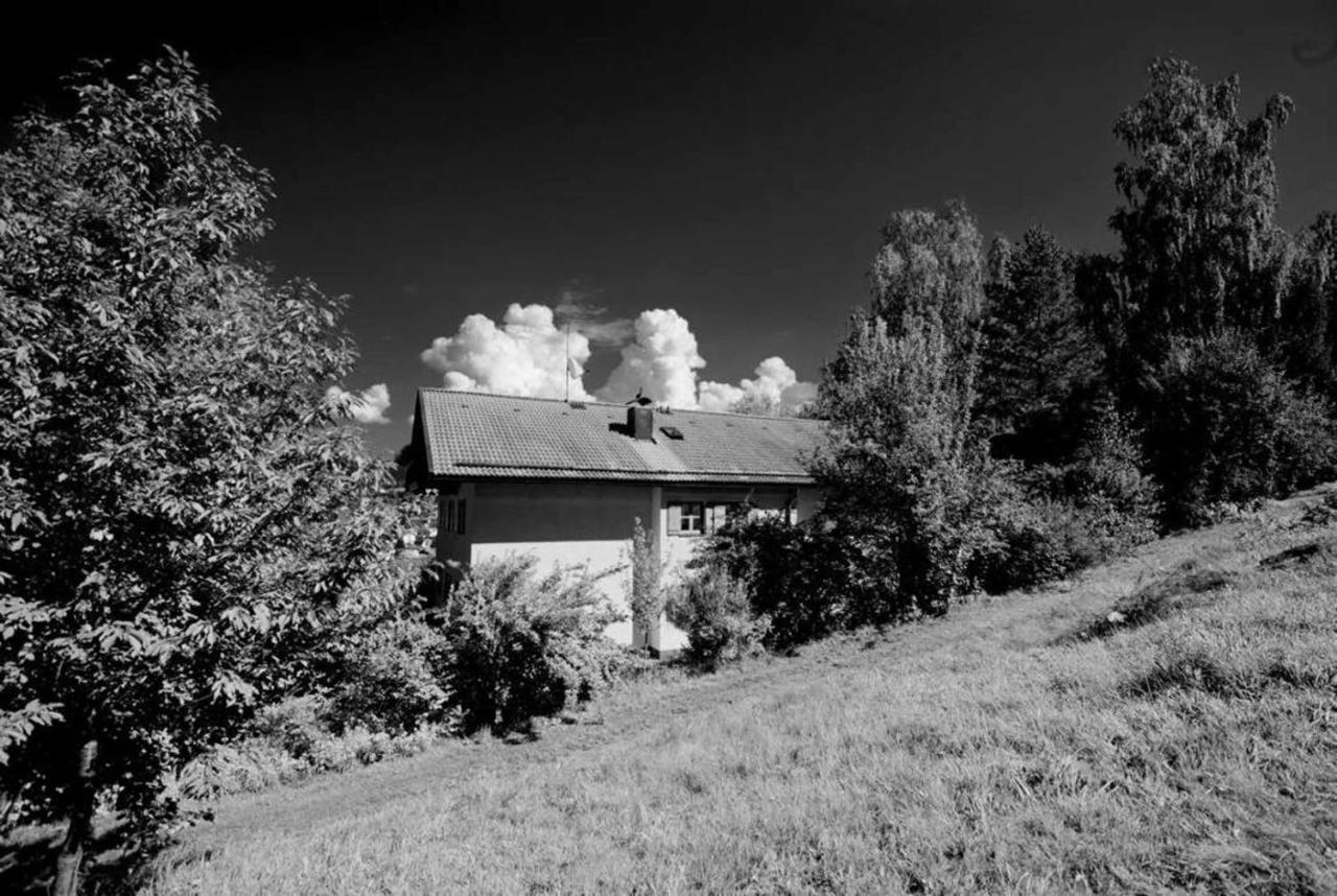 Ferienwohnungen Haus "Wildschuetz" Frauenau Exterior foto