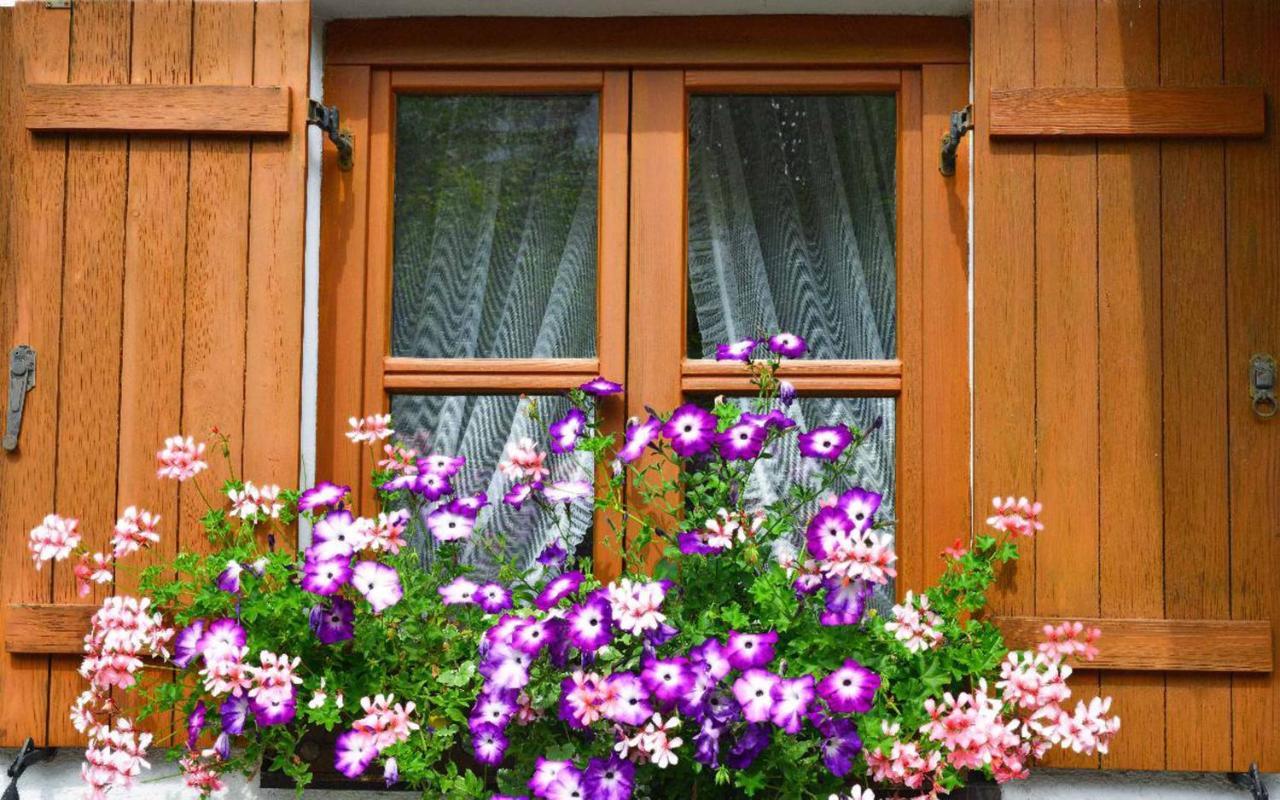 Ferienwohnungen Haus "Wildschuetz" Frauenau Exterior foto